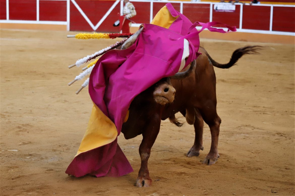 Semifinales Copa Chenel