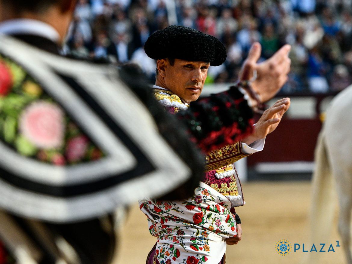 Manzanares San Isidro