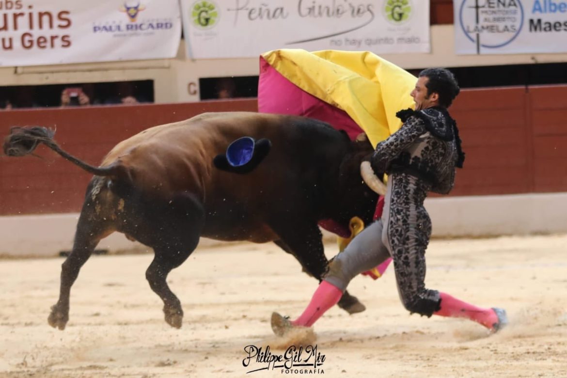 Morenito de Aranda cornada