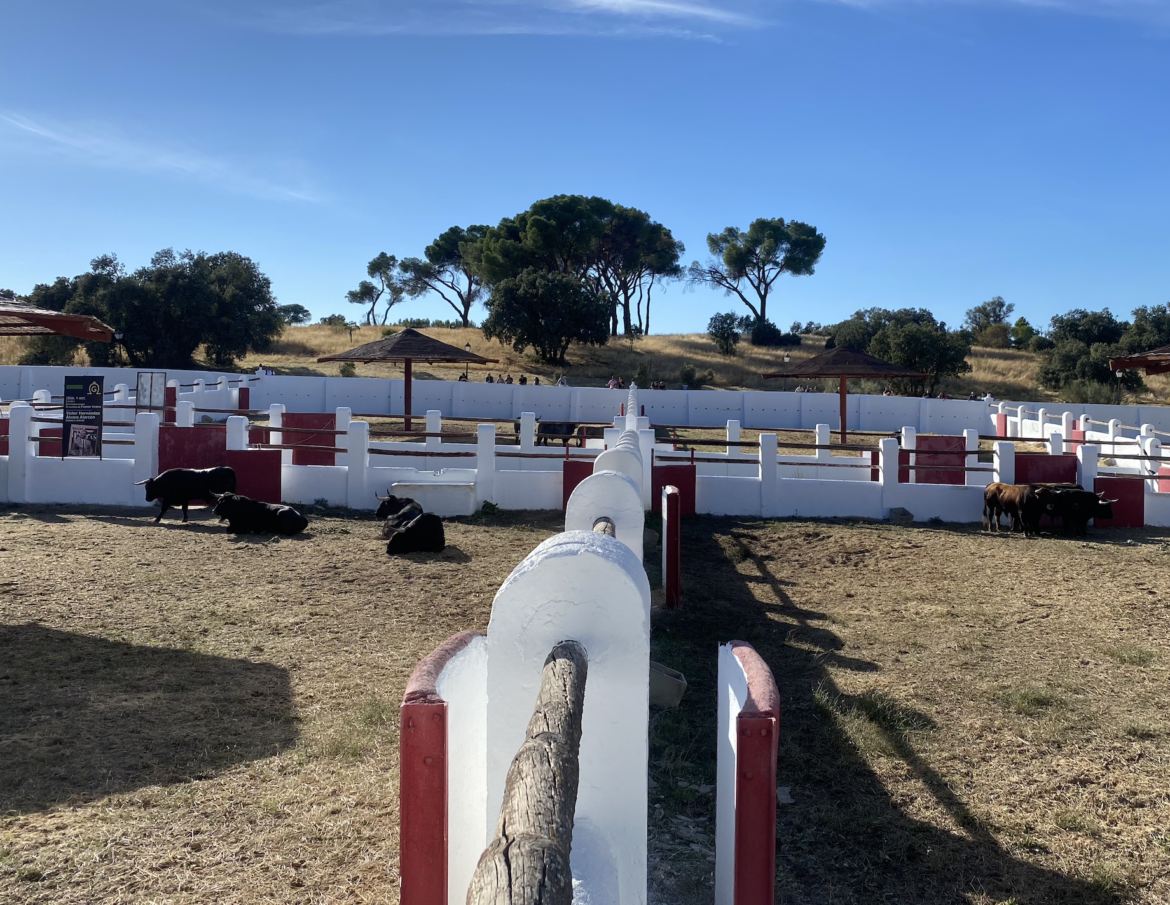 Toros San Isidro BatÃ¡n