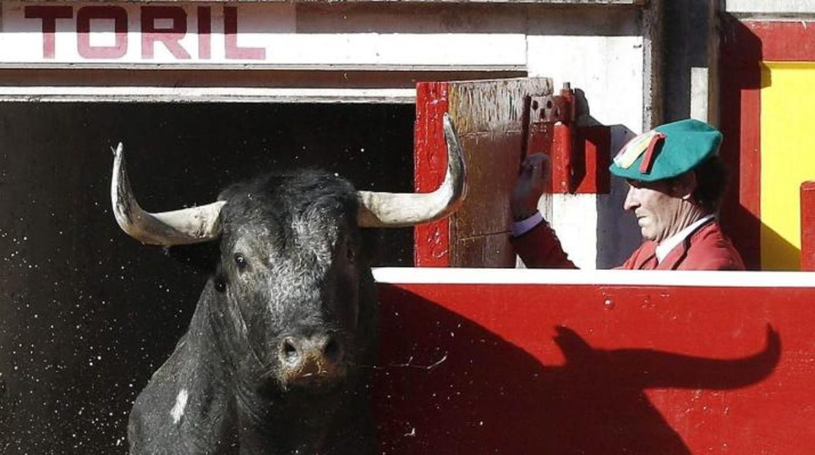 Carteles San FermÃ­n 2023