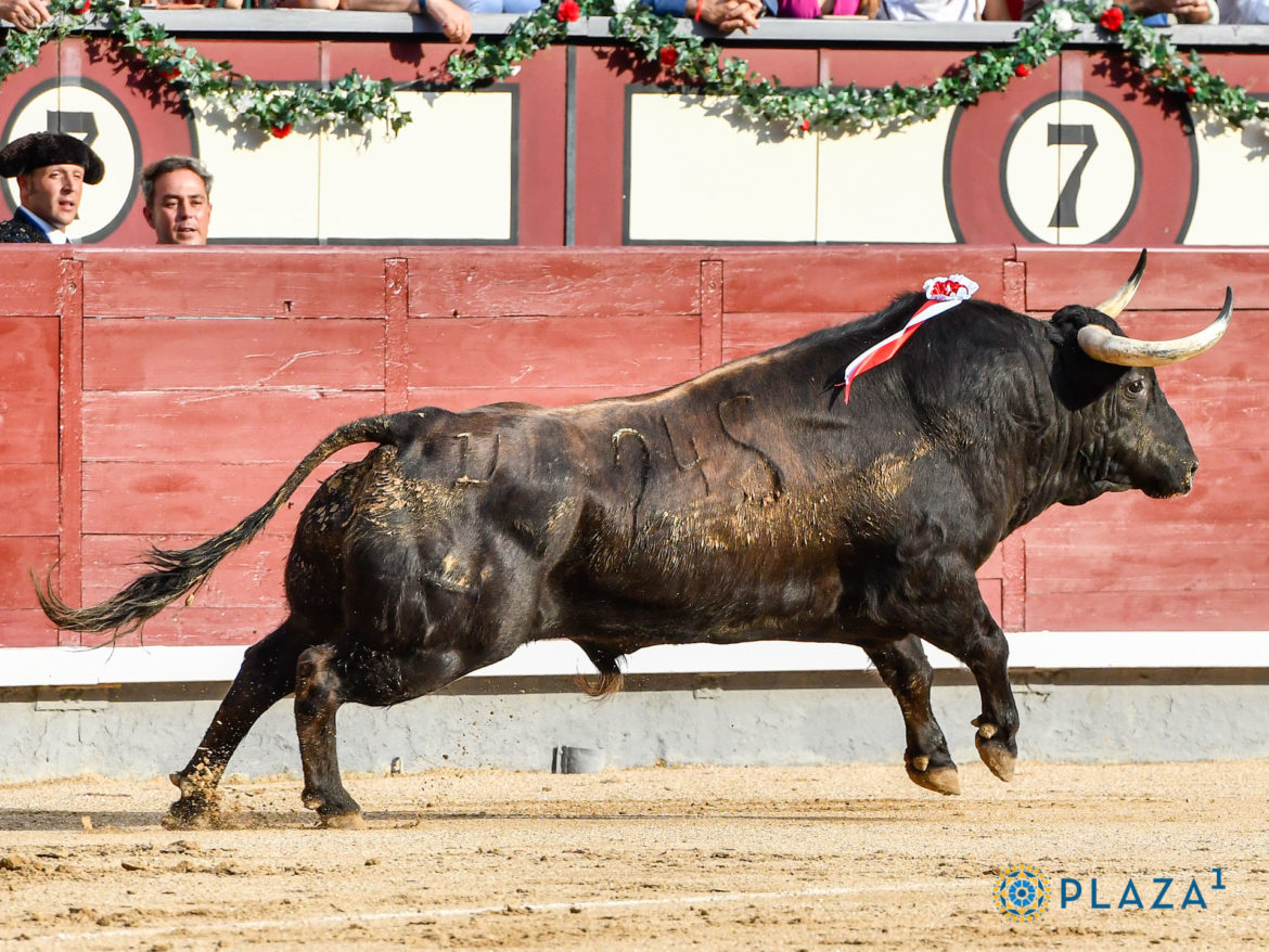 Juan Pedro Domecq revive