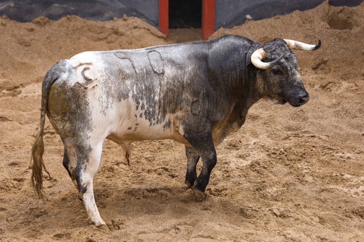 La Quinta serÃ¡ una de las ganaderÃ­as de la prÃ³xima feria taurina de Albacete 2023