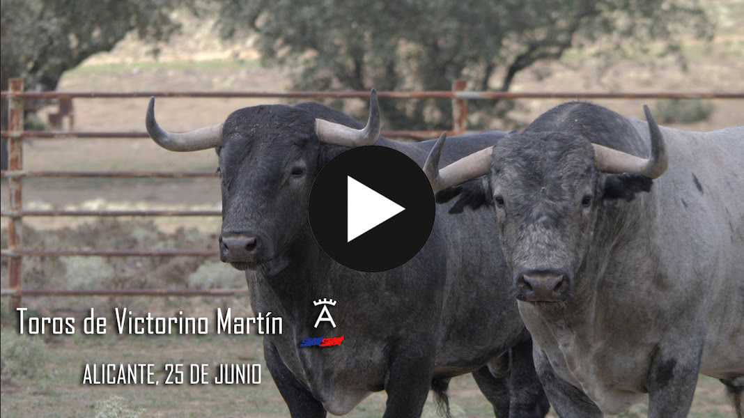 Morante de la Puebla serÃ¡ protagonista en la corrida de Victorino MartÃ­n