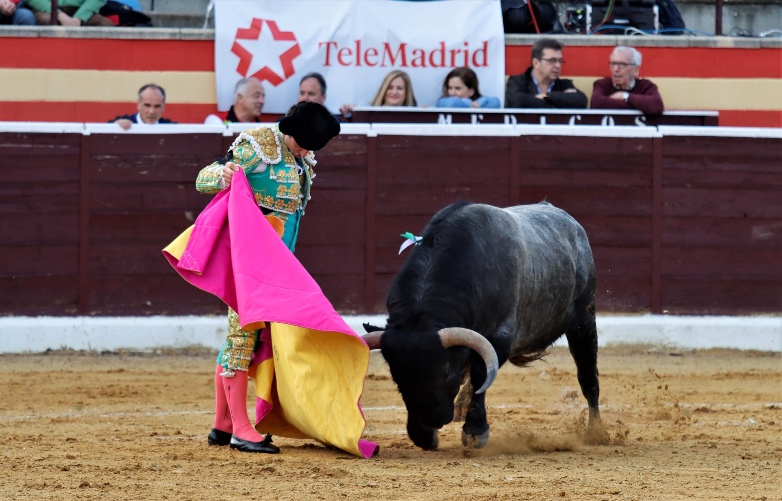 Toros Telemadrid