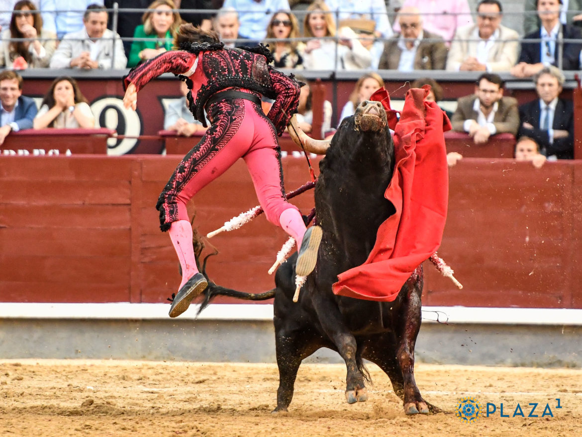 Cogida Roca Rey Ventas