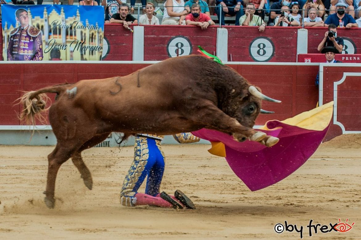 Manuel Caballero y Samuel NavalÃ³n se verÃ¡n en mano a mano en la feria de Albacete