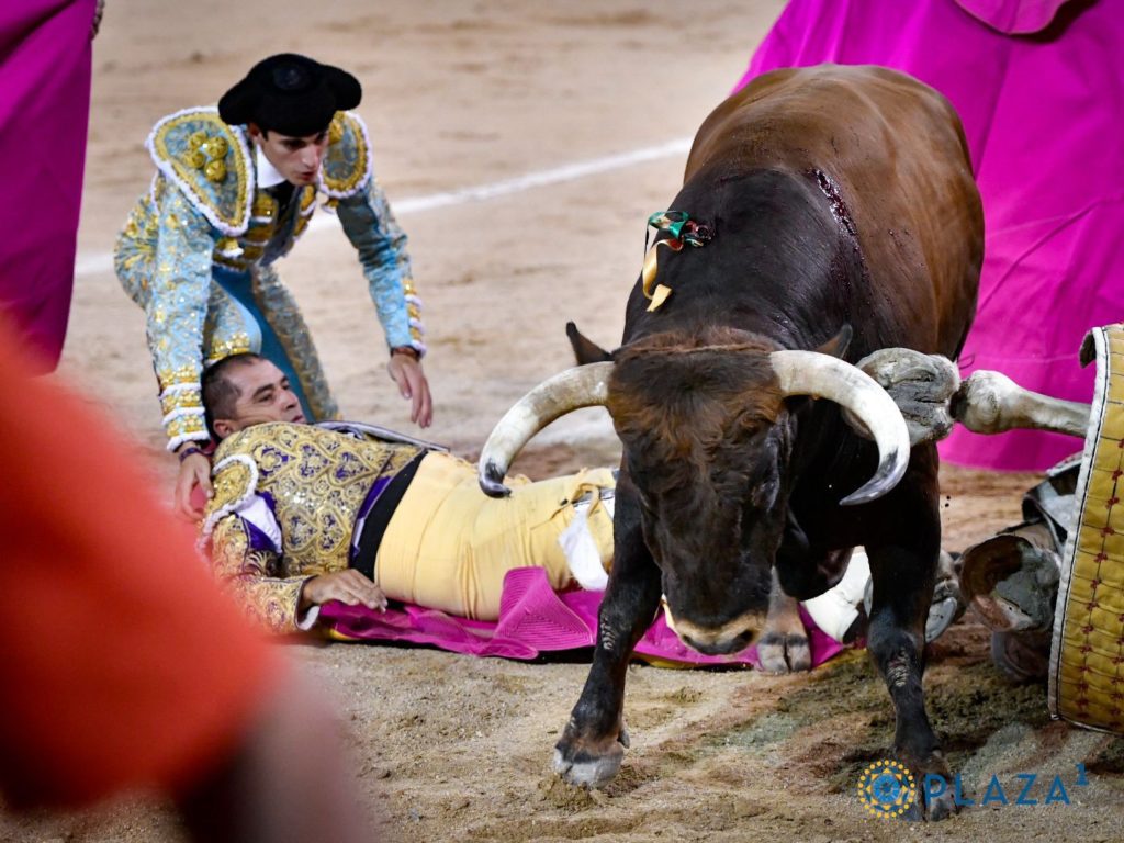 El picador José Ney Zambrano sufre una cornada en Las Ventas