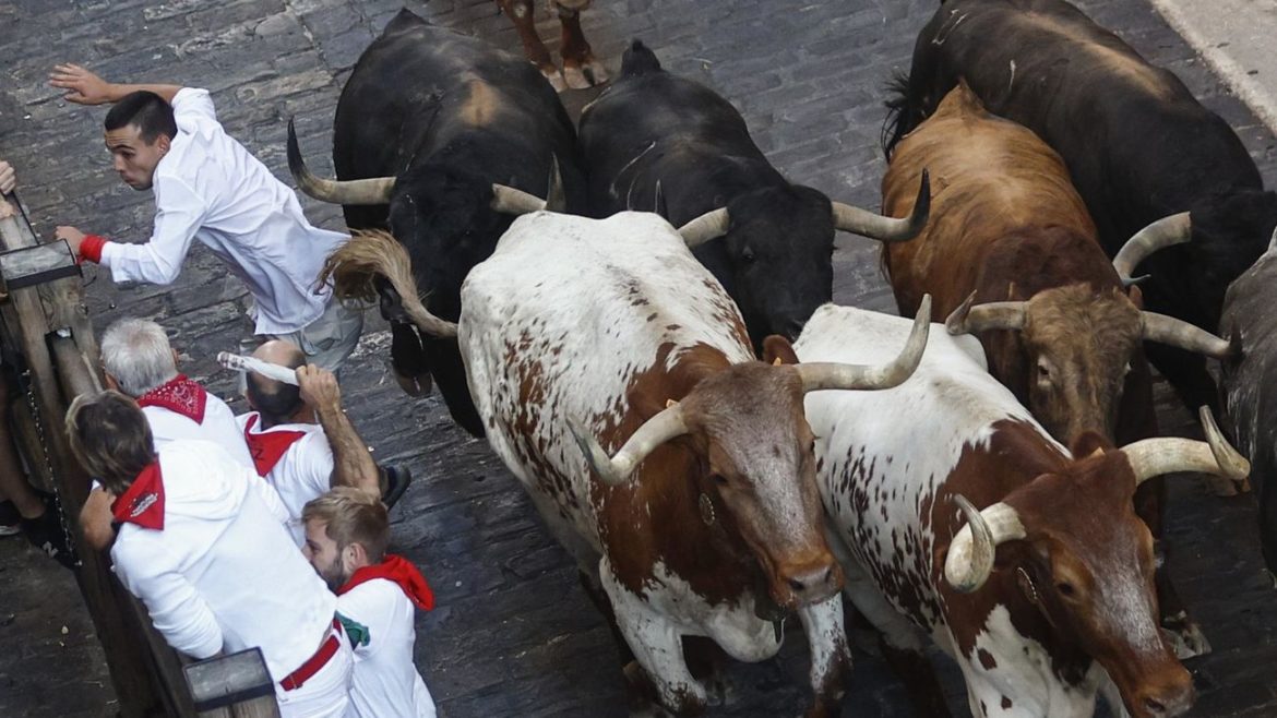 Los datos de la ganaderÃ­a de La Palmosilla en los encierros de San FermÃ­n