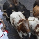 Los datos de la ganadería de La Palmosilla en los encierros de San Fermín