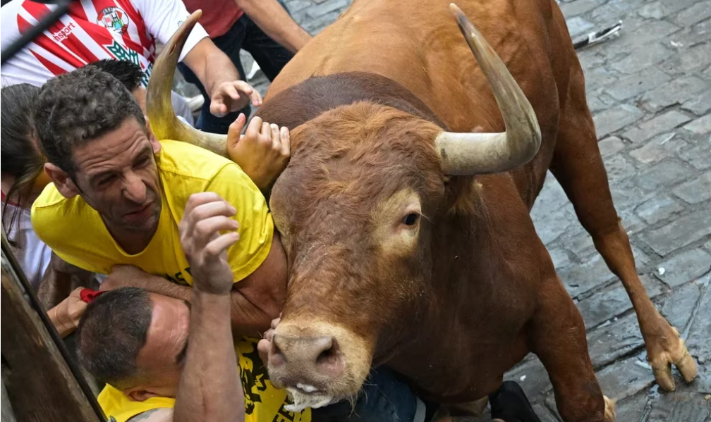 Los toros de los encierros de San Fermín están propiciando menos emoción