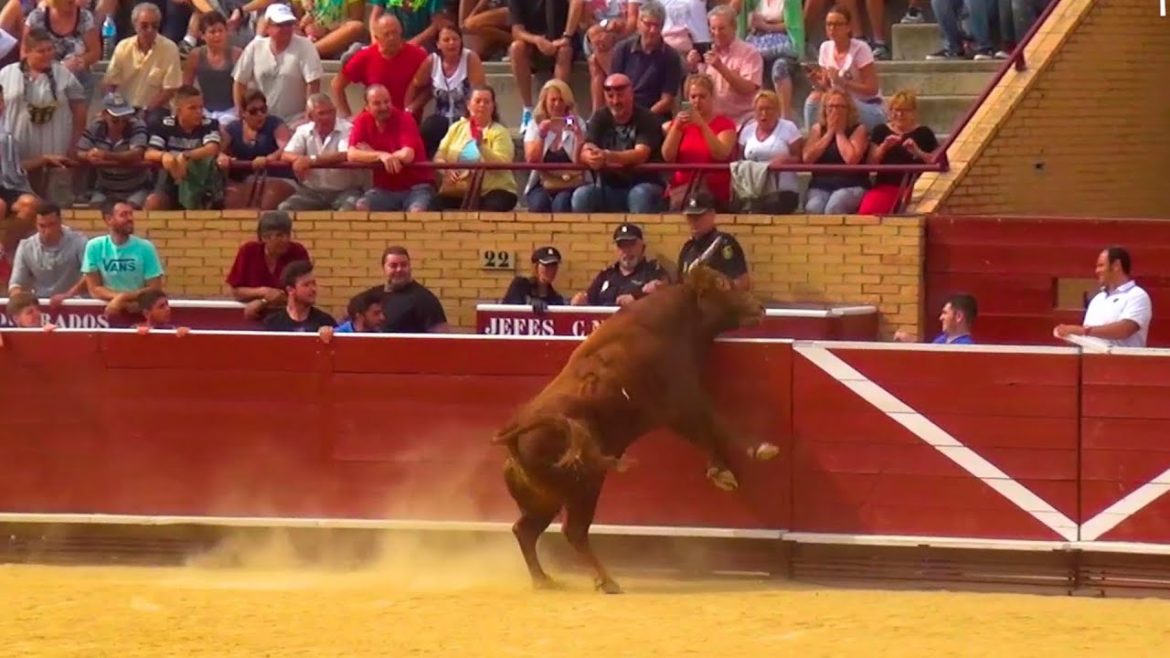 El regreso de los toros a la plaza de MÃ³stoles estÃ¡ cerca de hacerse realidad