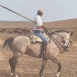 Un caballo ha muerto en la ganadería de La Palmosilla