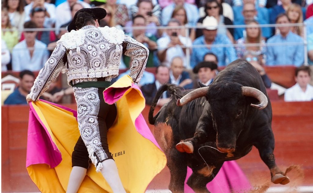 carteles toros feria taurina Salamanca 2023