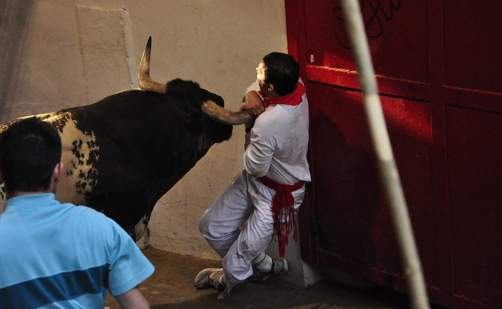 El encierro del año 2009 en San Fermín por los toros de Miura aún se recuerda