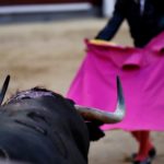 Muere el torero Fran Moreno