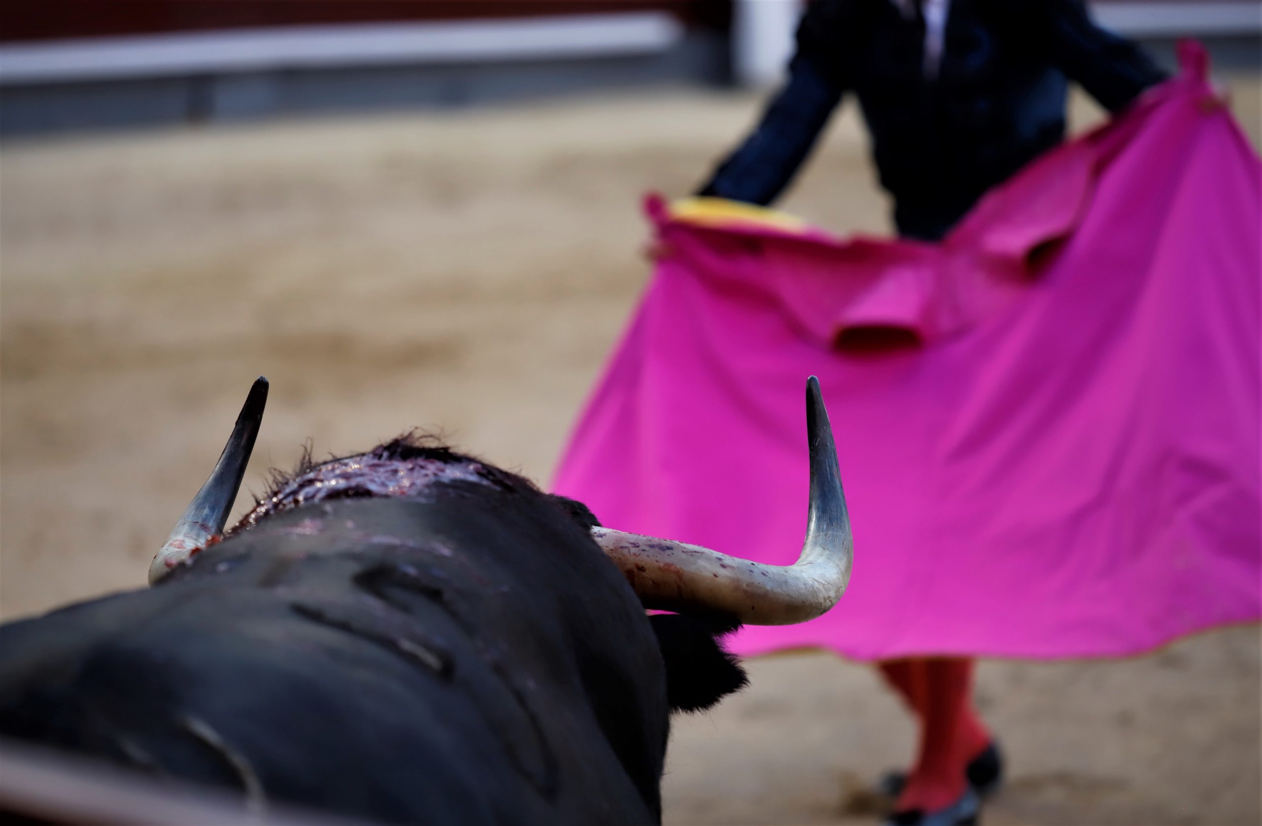 Muere el torero Fran Moreno