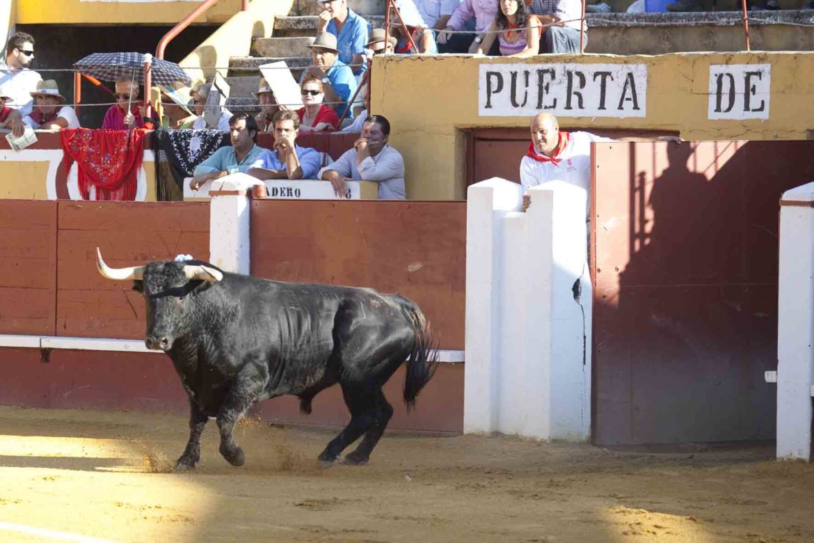 AsÃ­ quedan los carteles para la cita de CuÃ©llar con los toros este 2023