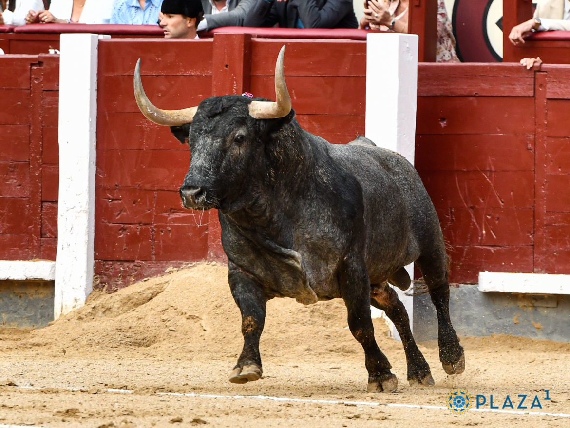 Las Ventas ha hecho oficiales los carteles para la feria de OtoÃ±o 2023