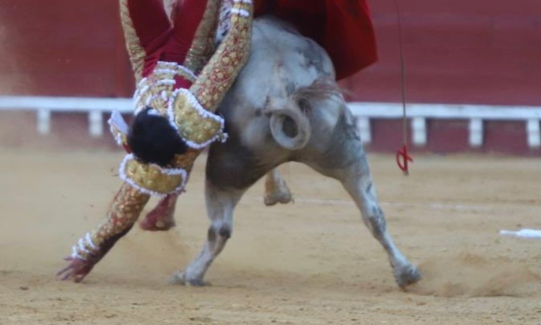 Estado Roca Rey tras la cornada en El Puerto