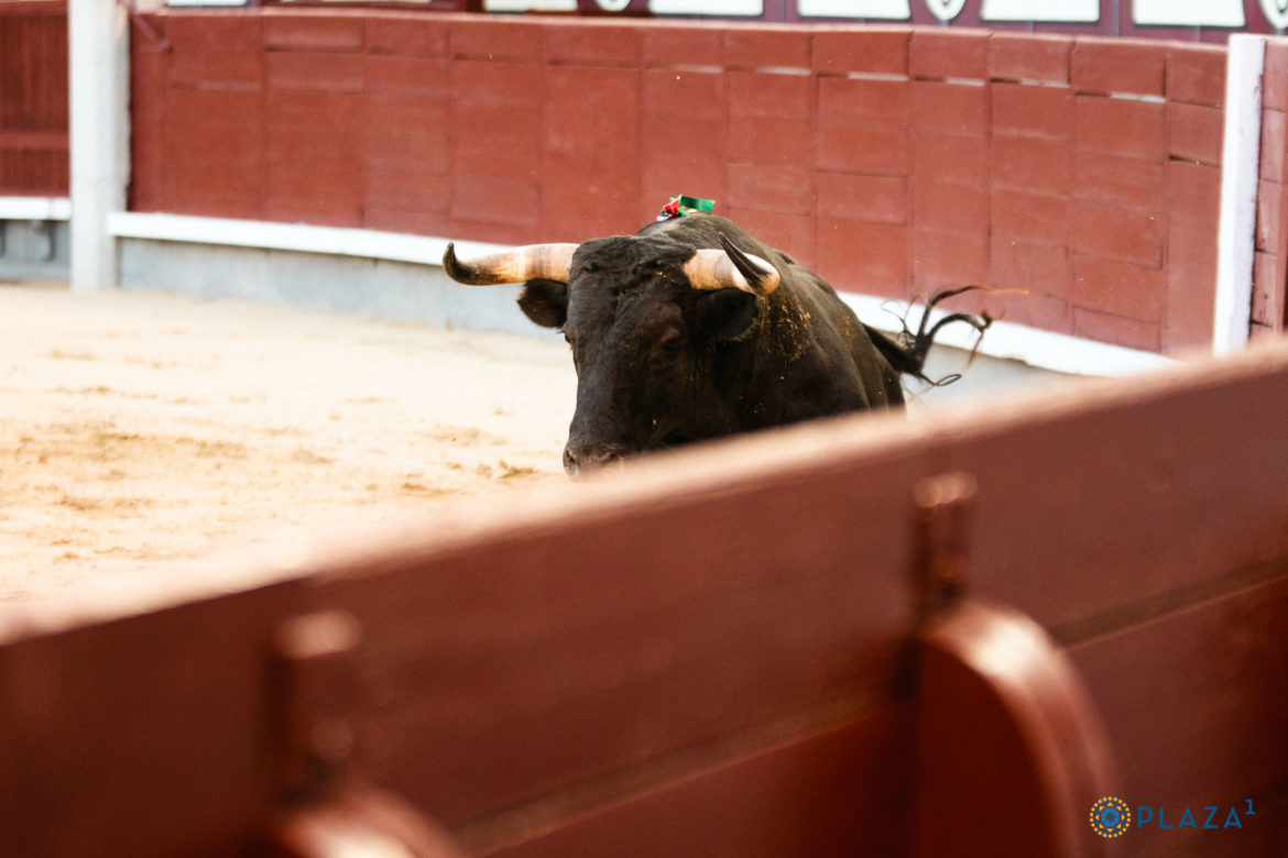 Ya hay fecha para la presentaciÃ³n de los carteles de la feria de OtoÃ±o 2023