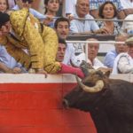Morante ya tiene sustituto para la feria taurina de Murcia