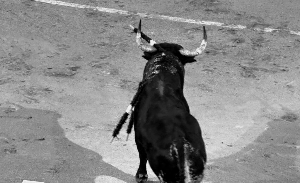 Toro andaluz castigado banderillas negras Las Ventas 