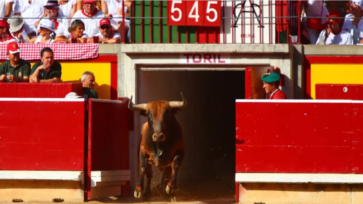 Estas son las ganaderÃ­as para San FermÃ­n 2024