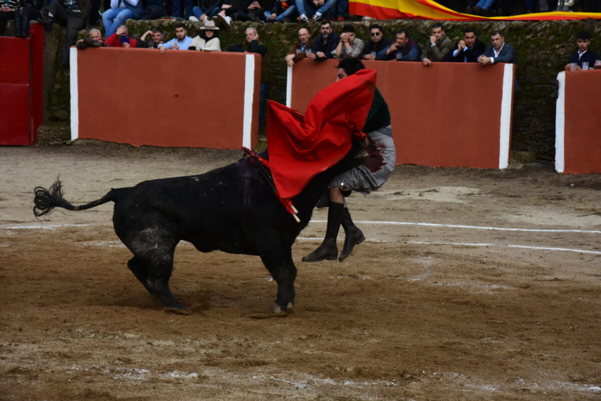 cornada Perera Valero de la Sierra